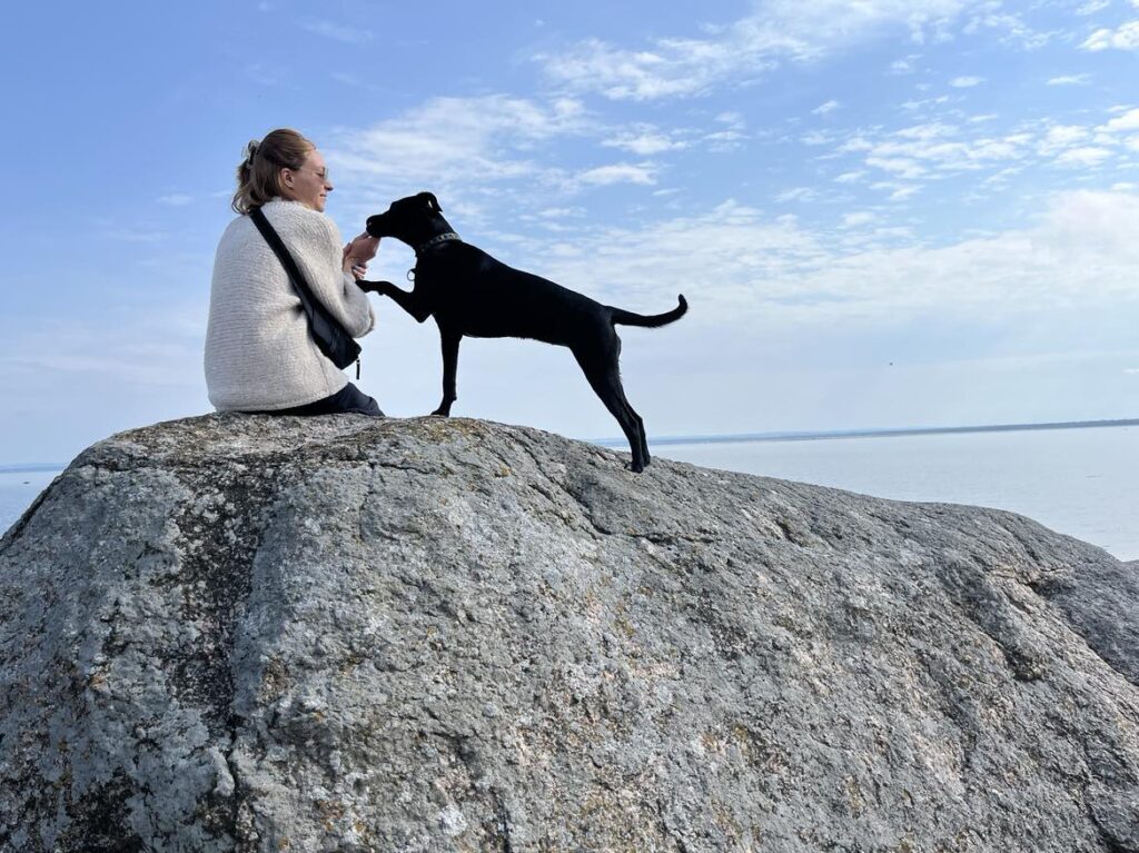 Vad kostar det att ha hund